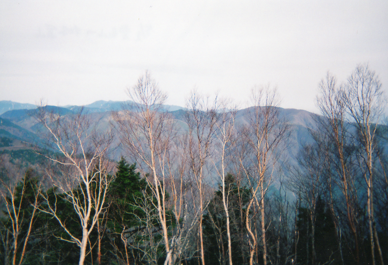 Файл:Wanakura-2.PNG