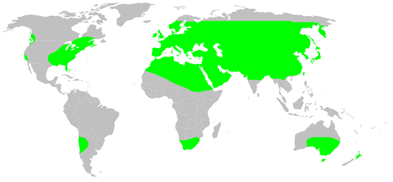 Файл:Distribution.dysdera.crocata.1.png