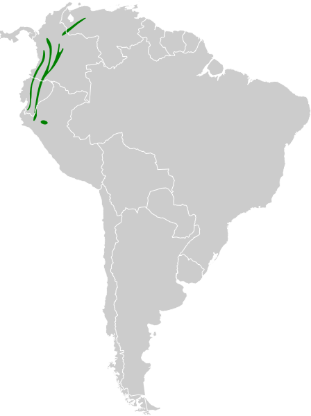 Файл:Masius chrysopterus map.svg