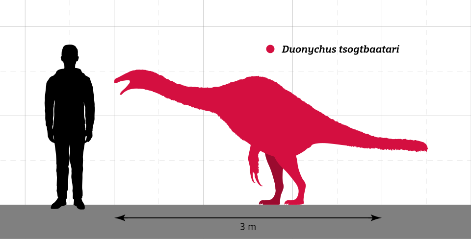 Файл:Duonychus Size Comparison.svg