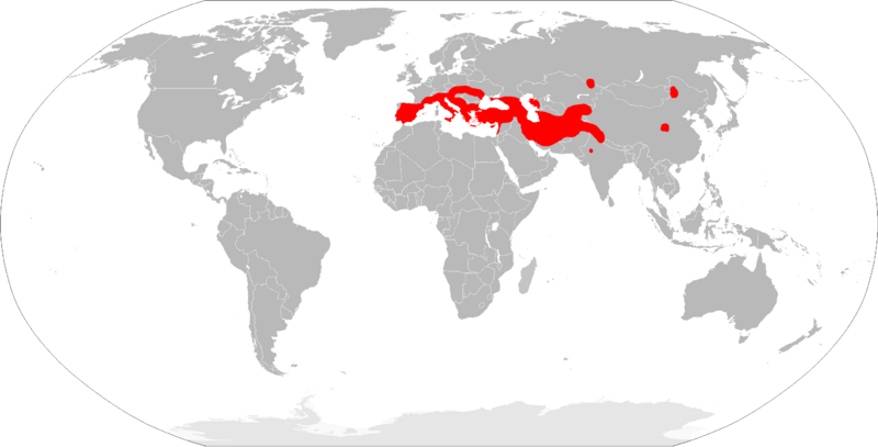 Файл:Myotis blythii range Map.png