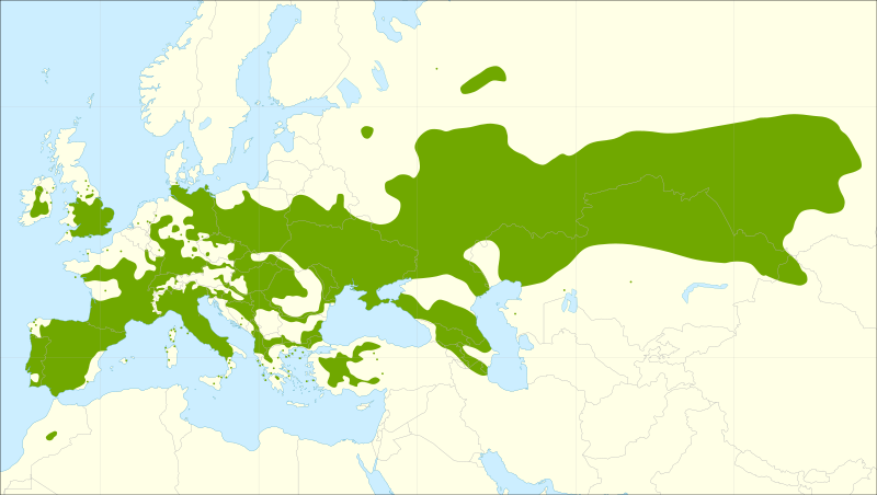 Файл:Populus nigra range.svg