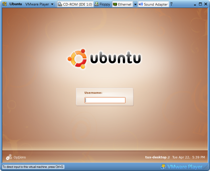 Файл:VMware Player screenshot.png
