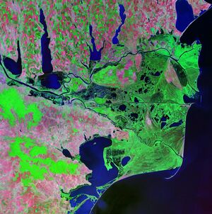 Дельта Дуная. Хорошо видны три основных рукава. Георгиевское гирло — самый южный из них.