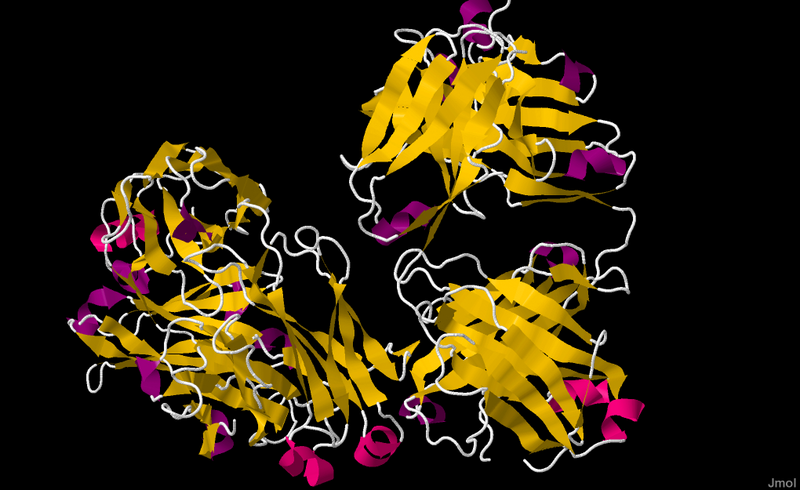 Файл:Rituximab.png