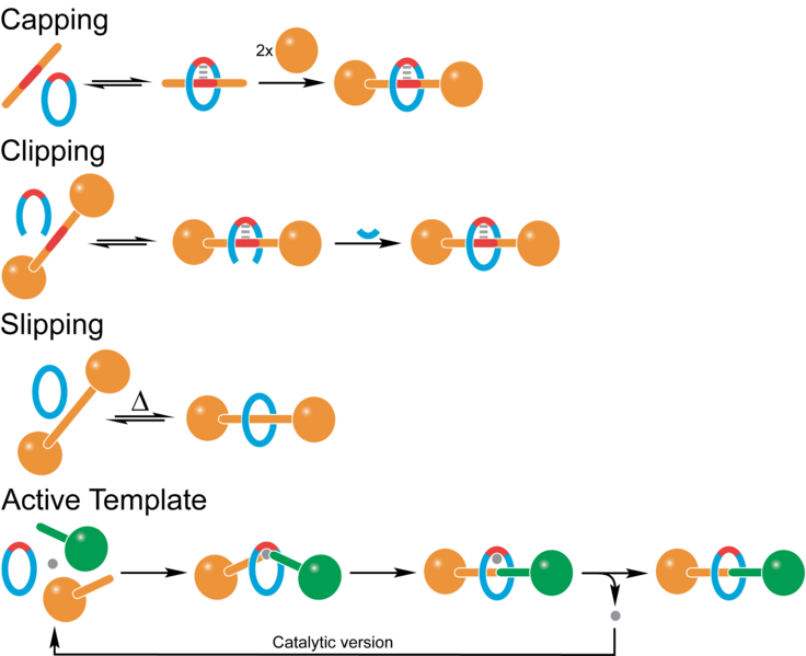 Файл:Rotaxanes-synthesis-methods.png