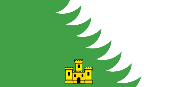 Файл:Flag of Chojniki.svg