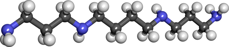 Файл:Spermine2.png