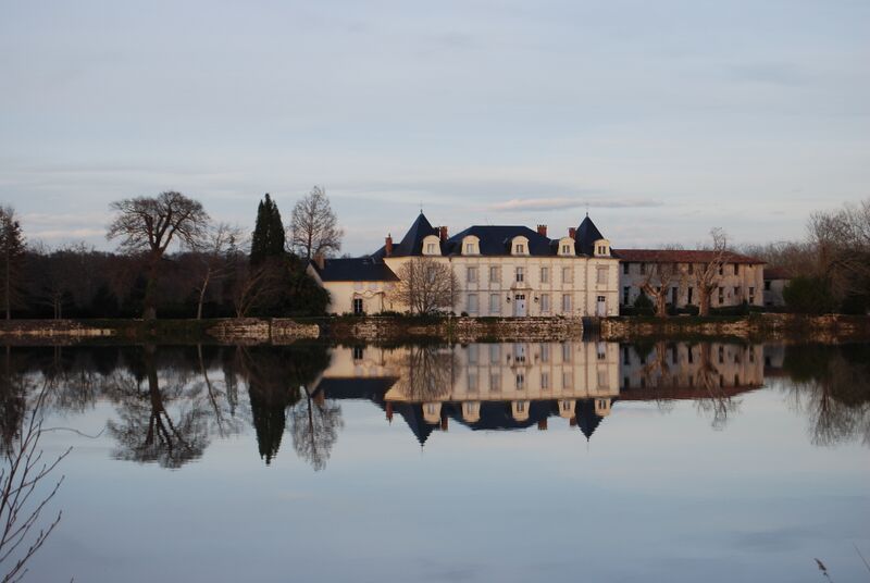 Файл:Château de Montpellier.JPG