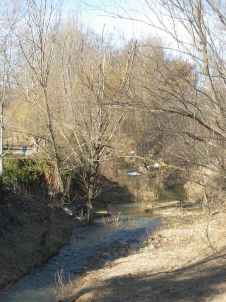 Файл:Limergue 2.JPG