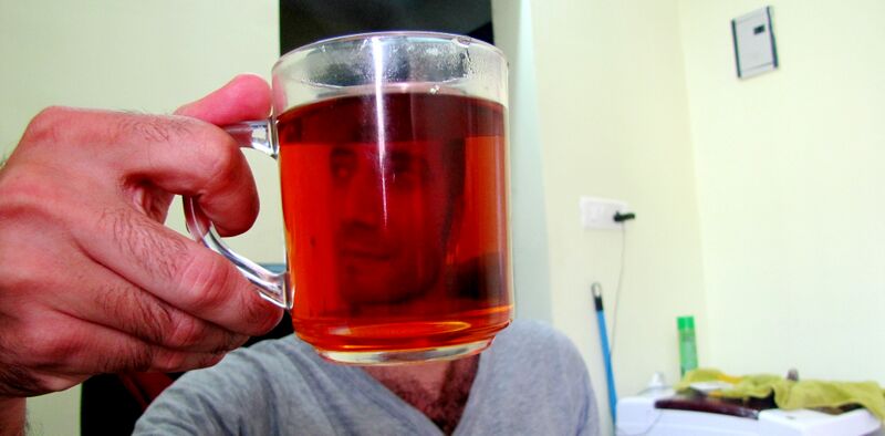 Файл:MY FRIEND IN TEA.JPG
