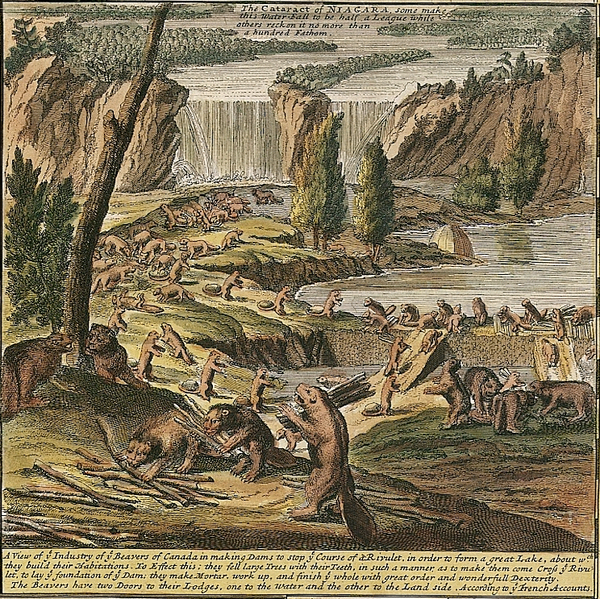 Файл:Moll - Inset Beaver Map.png