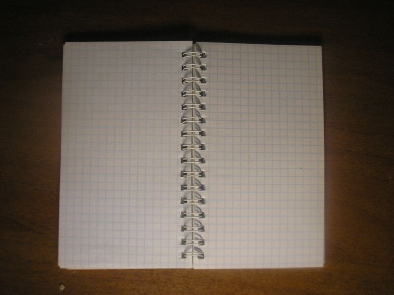 Файл:Notepad on the clear page.JPG