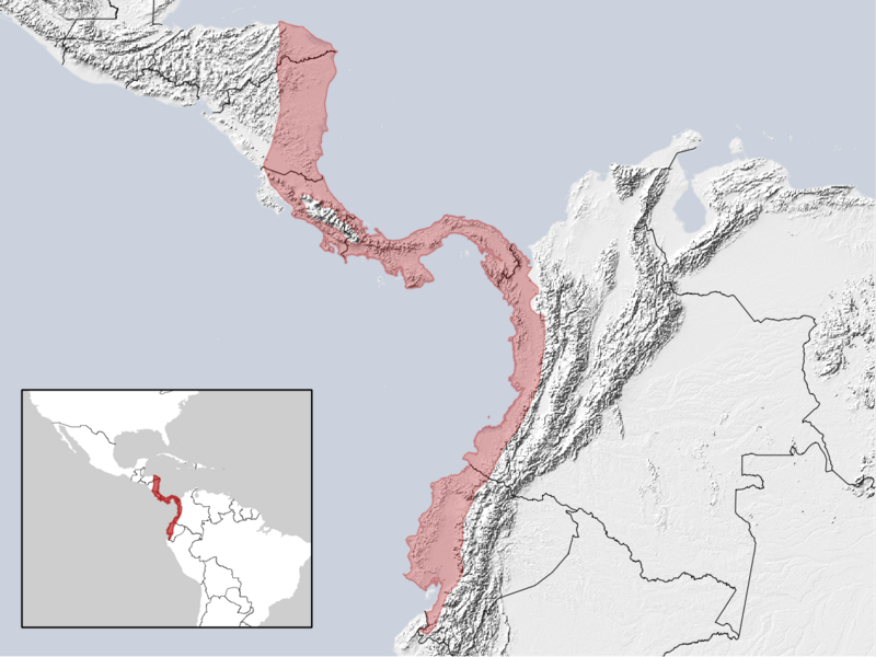 Файл:Proechimys semispinosus distribution (gray).png