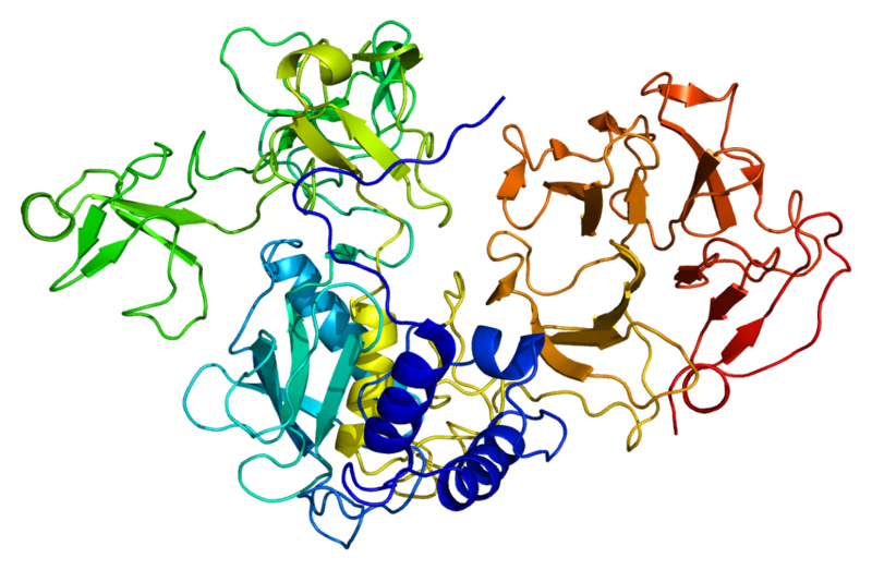 Файл:Protein MMP2 PDB 1ck7.png