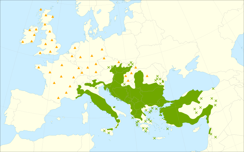 Файл:Quercus cerris range.svg