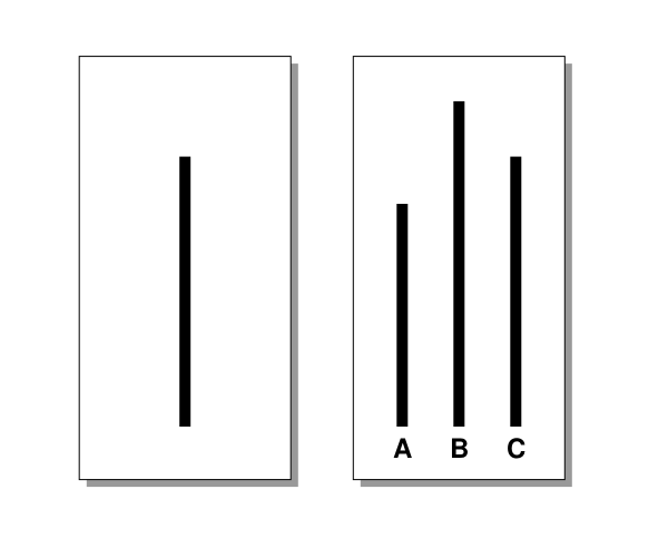 Файл:Asch experiment.svg