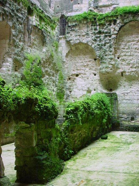 Файл:ChristianBauer Chateau de Loches dungeon.jpg