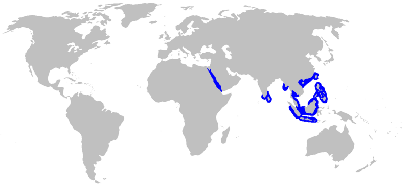 Файл:Hemigaleus microstoma distmap.png