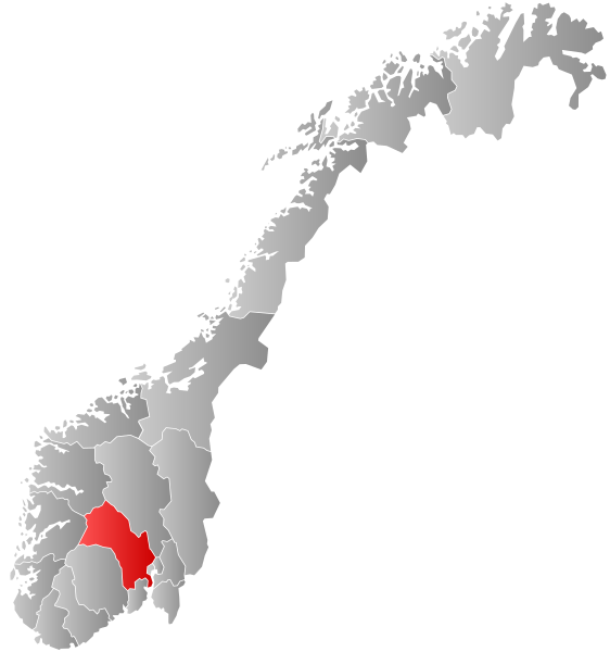 Файл:Norway Counties Buskerud Position.svg