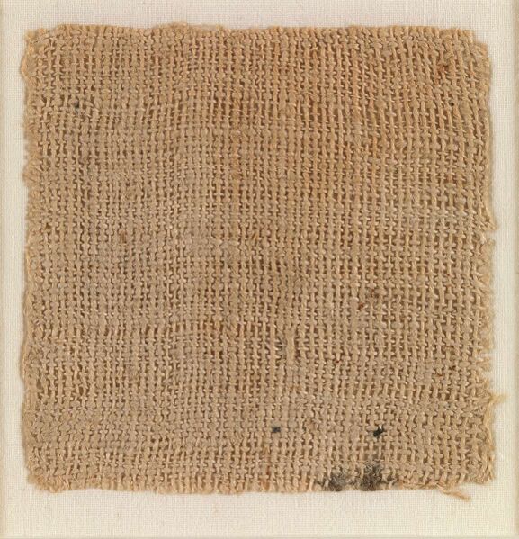 Файл:Sample of Cloth MET DP274459.jpg