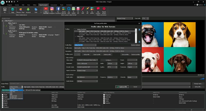 Файл:VSDC export tab.jpg
