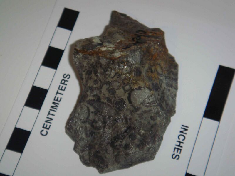 Файл:Archeocyathids.JPG