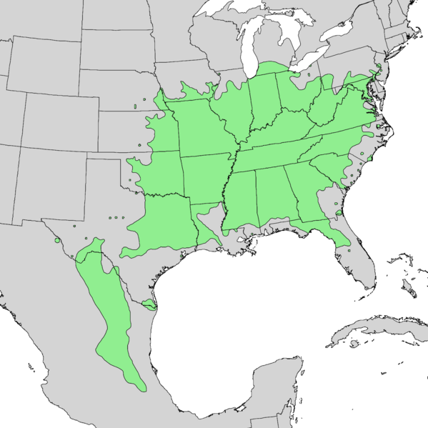 Файл:Cercis canadensis range map 2.png