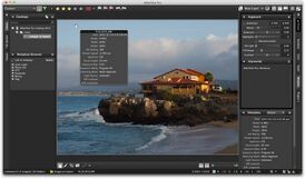 Скриншот программы AfterShot Pro