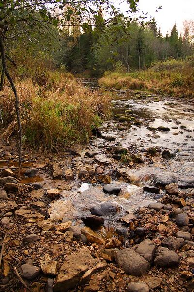 Файл:Ragusha (river).jpg