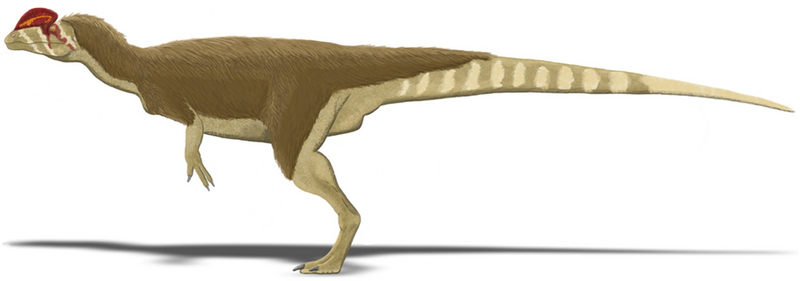 Файл:Dilophosaurus wetherilli.PNG