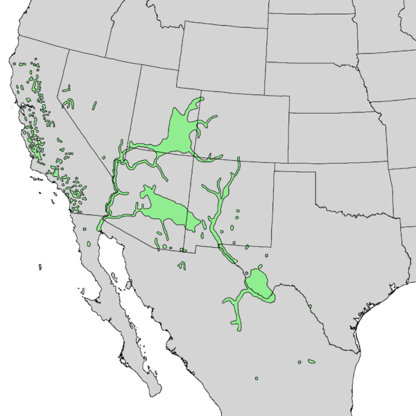 Файл:Populus fremontii range map 2.png