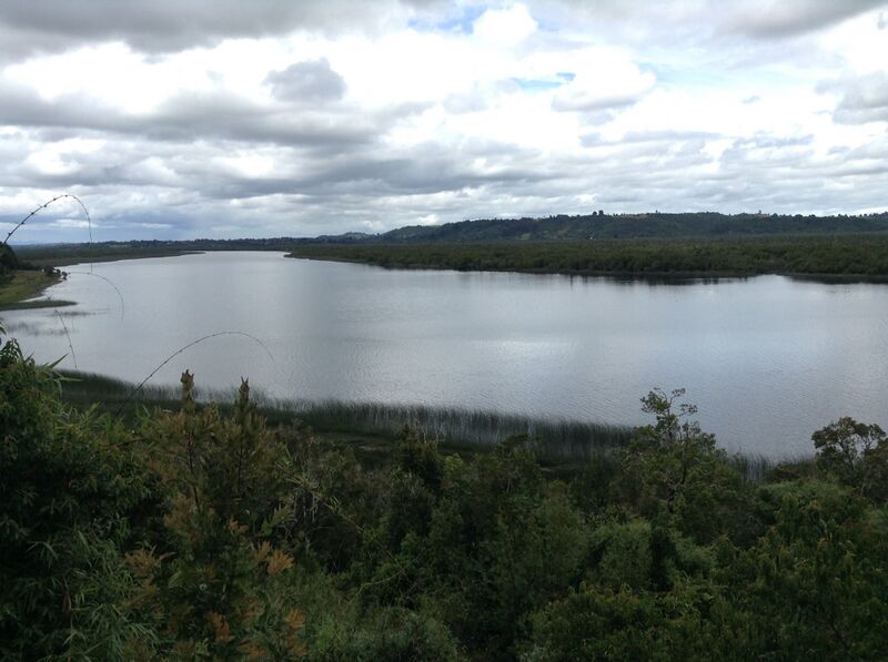 Файл:Río Maullín 1.jpg