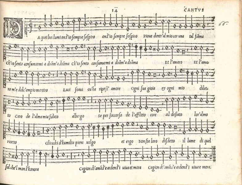 Файл:Rore-note bianche.jpg