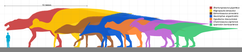 Файл:Giant Ornithopod Scale.svg