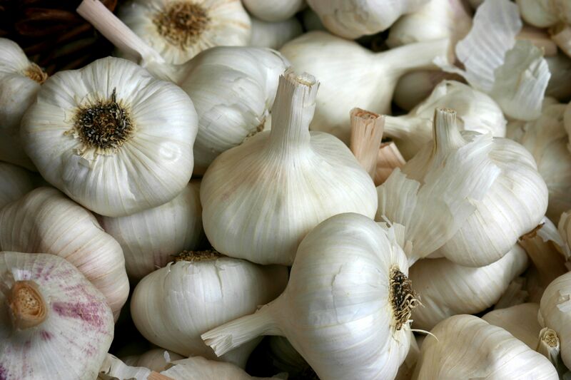 Файл:Knoblauch 2995.jpg