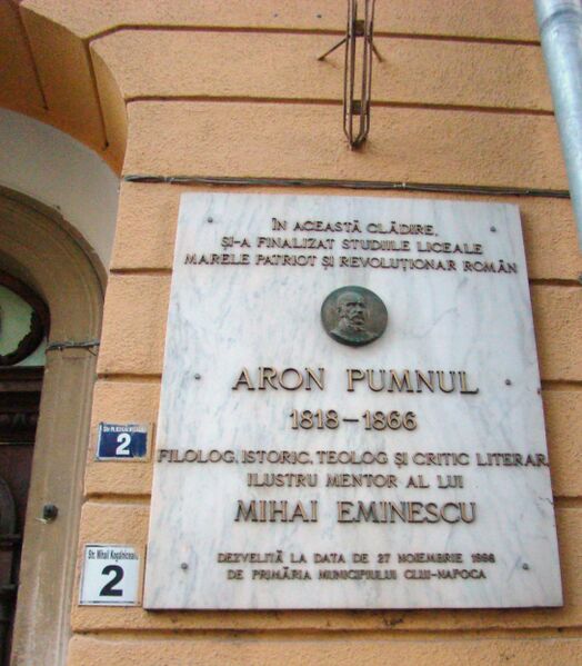 Файл:AronPumnulCJ.JPG