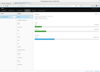 Скриншот программы WildFly