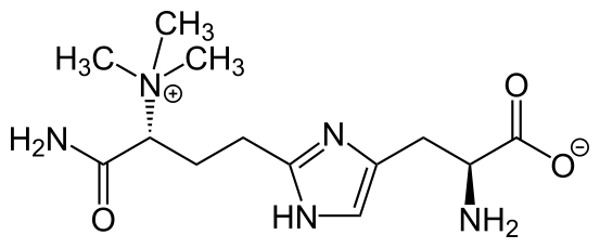 Файл:Diphthamide.svg