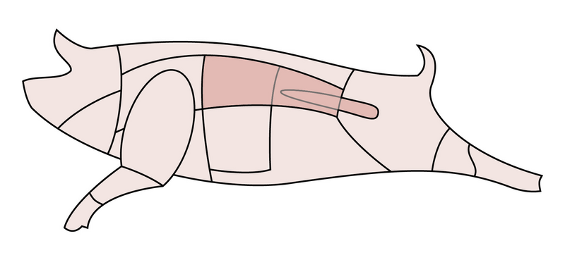 Файл:Schwein-Ruecken.png