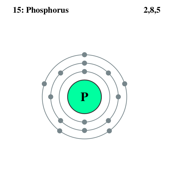 Файл:Electron shell 015 Phosphorus.svg