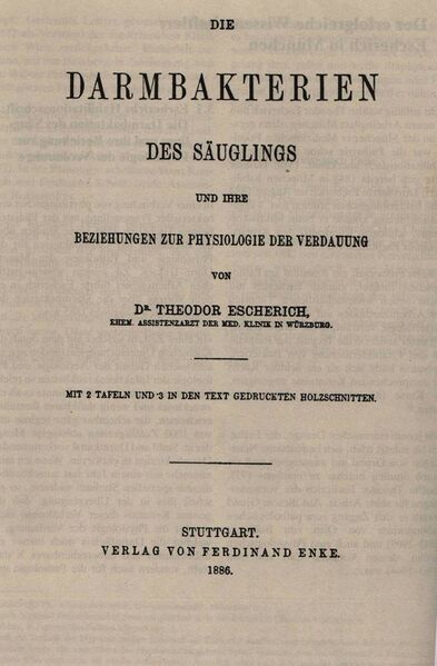 Файл:Escherichbook.jpg