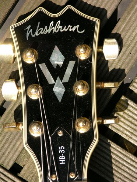 Файл:Washburn HB35 ts.JPG