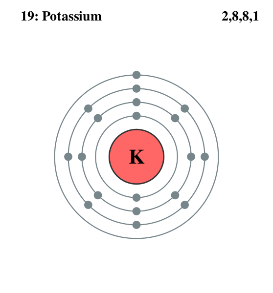 Файл:Electron shell 019 Potassium.svg