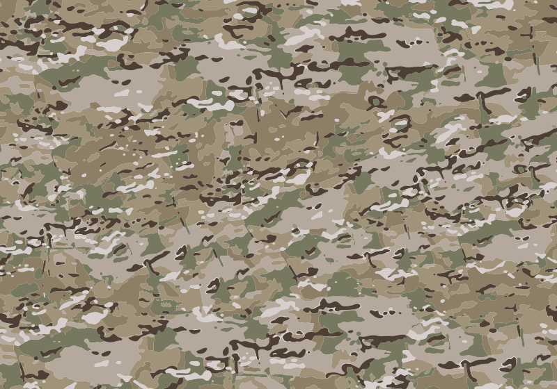 Файл:MultiCam.svg