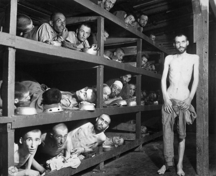 Файл:Buchenwald Slave Laborers Liberation.jpg