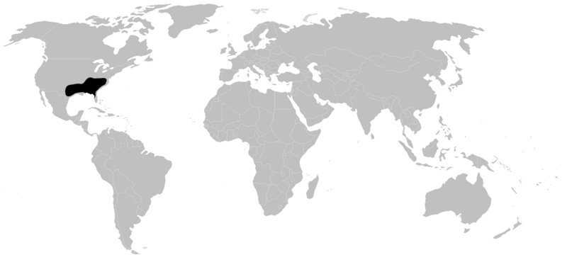 Файл:Distribution.myrmekiaphila.1.png