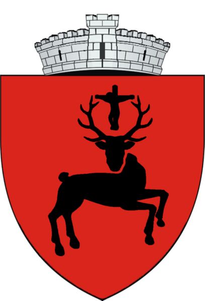 Файл:ROU SV Baia CoA.jpg
