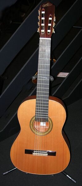 Файл:Seven-string-guitar.jpg