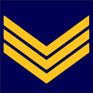 Файл:Airforce-ALB-OR-7.svg